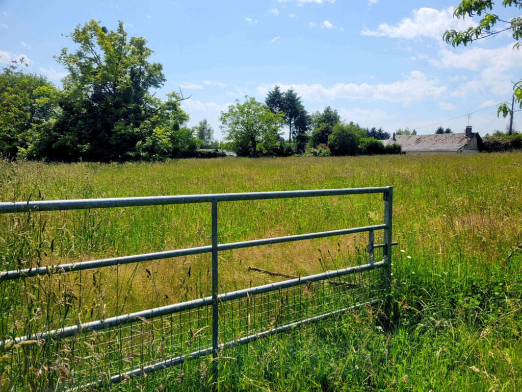 Portail entrouvert de notre terrain en permaculture, montrant un paysage de biodiversité avec herbes hautes et arbres variés comme le tilleul et le noyer au loin, invitant à l'exploration.