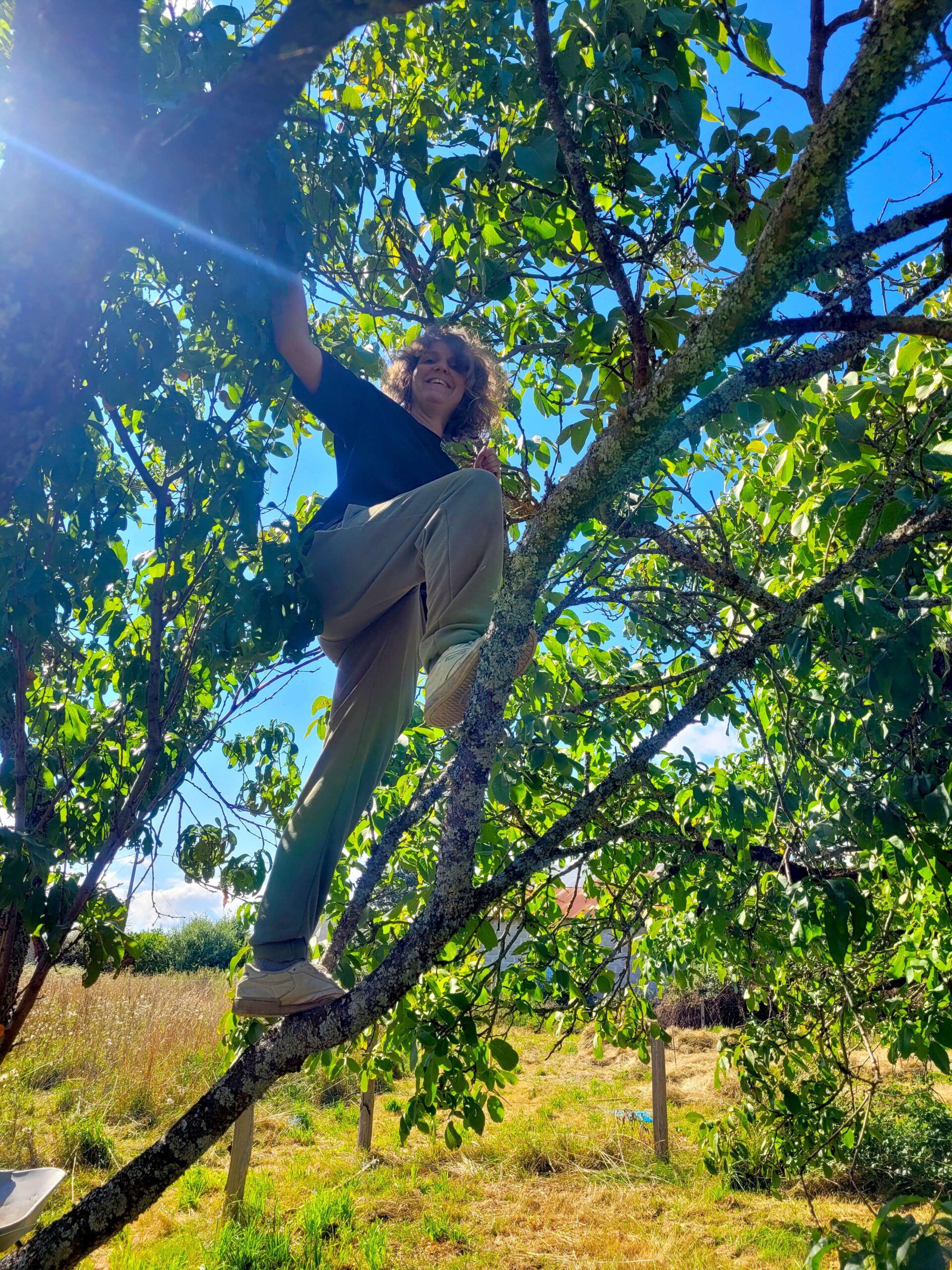 Vanessa souriante escaladant un pêcher de vigne dans notre jardin forêt en permaculture, démontrant l'interaction ludique avec notre écosystème.